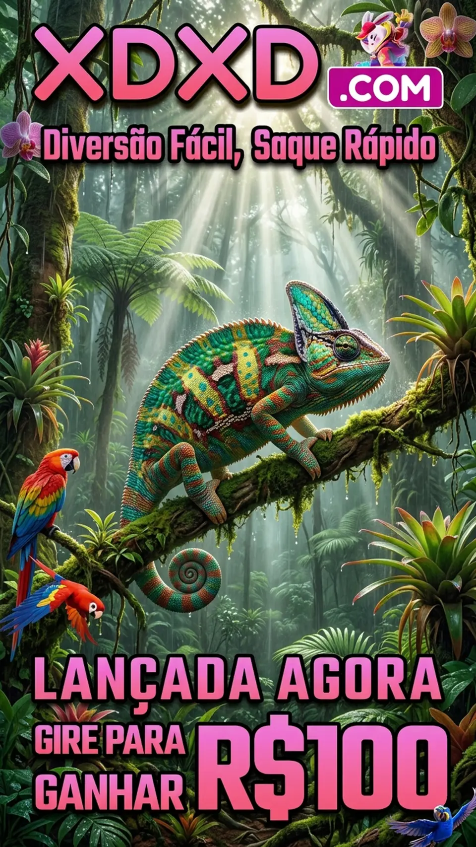 XDXD APK Oficial Baixar Indonesia